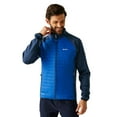 thumbnail image 4 of Regatta Manteau Hybride Clumber pour Hommes, 4 of 6