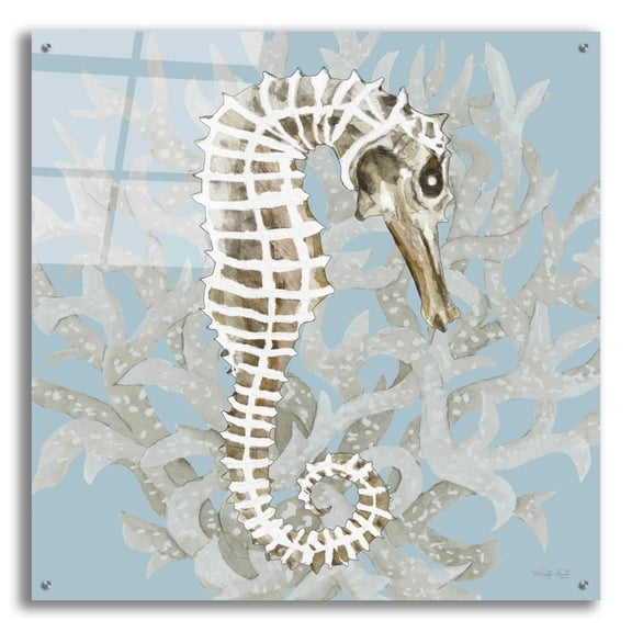 Epic Art 'Coral Seahorse I' by Cindy Jacobs, Acrylic Glass Wall Art, 36"x36"