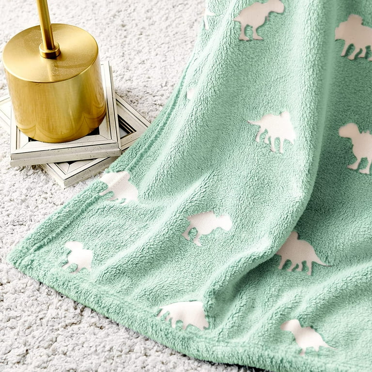 Green dinosaur blanket new arrivals