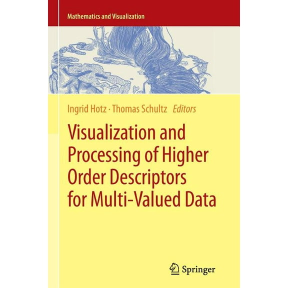 Mathematics and Visualization Visualization and Processing of Higher Order Descriptors for Multi-Valued Data, (Paperback)