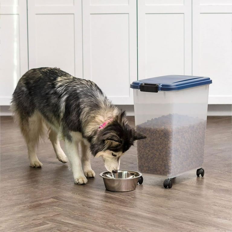 rachael ray dog food chicken Rachael Ray Nutrish Indoor Complete Chicken & Salmon with Lentils Reci —  Concord Pet Foods & Supplies| Delaware, Pennsylvania, New Jersey, Maryland