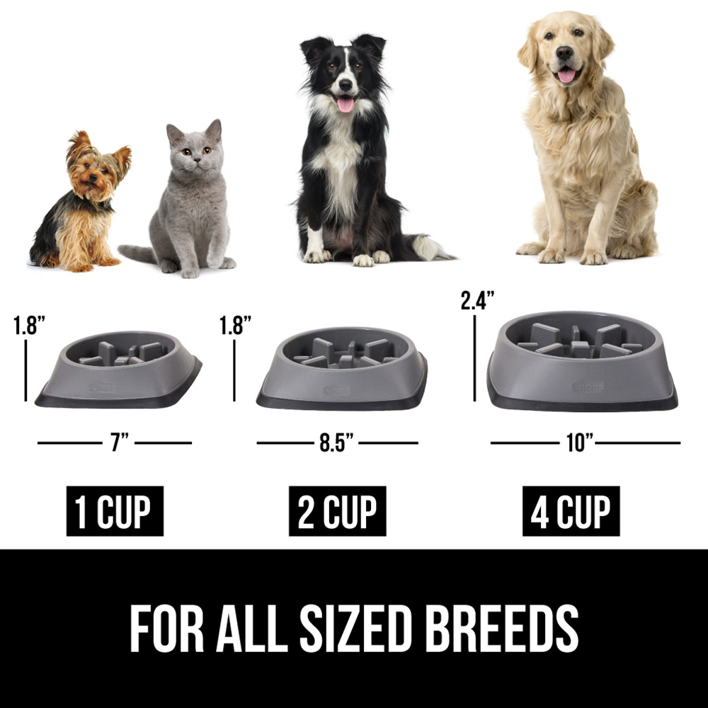 Gorilla Grip Slow Feeder Bowl for Dogs & Cats photo 6