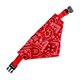 thumbnail image 2 of Pet Collar Bandana Adjustable Breathable Skin Friendly Triangular Print Dog Collar with Scarf for Cat Rabbit Red S 1.0cm/0.4in, 2 of 4