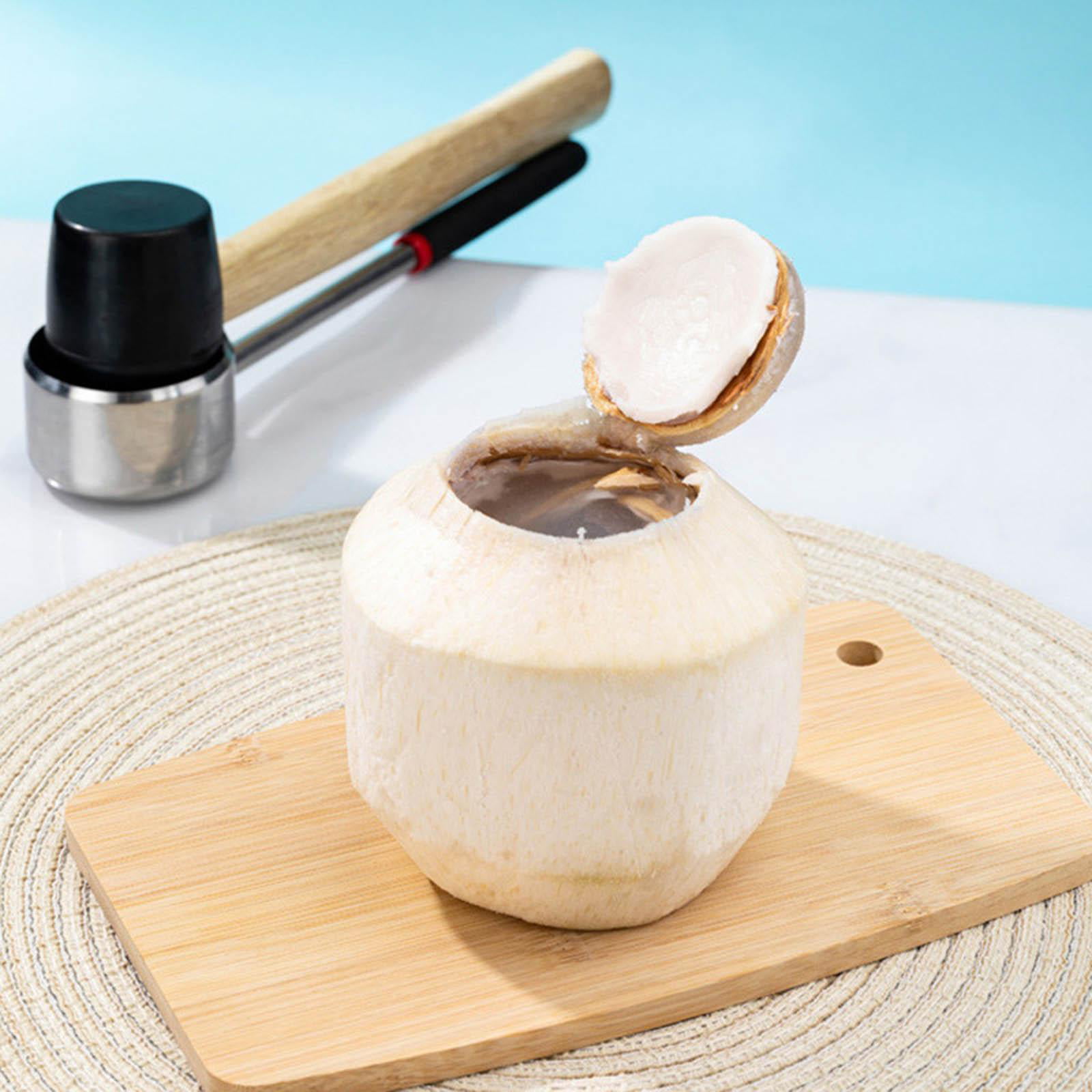 Buy Wholesale China Stainless Steel Coconut Opener With Plastic Handle  Coconut Corer Fruit Tools & Coconut Opener at USD 4.2