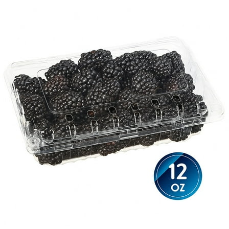 Fresh Blackberries, 12 oz. Container