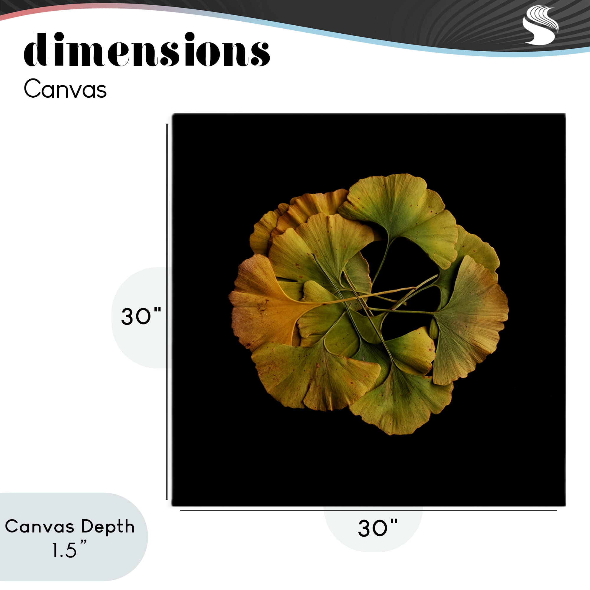 Stupell Industries Overlapping Ginkgo Leaves Canvas Wall Art, design by Beth Adoette