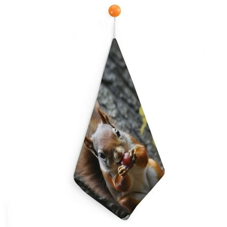 

PALNKART Squirrel Apple Woods Hand Drying Towels with Loop Ultra-Fine Fiber Kitchen Essentials 11.8x11.8in 4pcs
