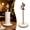 Green, variant on 1PC Christmas Kitchen Decor, 11.02 x 5.12 in Santa Claus Countertop Paper Roll Stand for Holiday Kitchen and Dining Decor