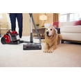 thumbnail image 6 of Electrolux EL4335B UltraFlex Bagless Canister Vacuum Cleaner, 6 of 7