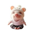 thumbnail image 1 of Cute Car Interior Acrylic Pendant Keychain Hanging Ornament Vehicle Accessory, 1 of 8