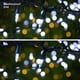 thumbnail image 5 of Luces Navideñas Brizled de 10.06 m 100 LED Blanco Frío para Interior/Exterior, 5 of 9