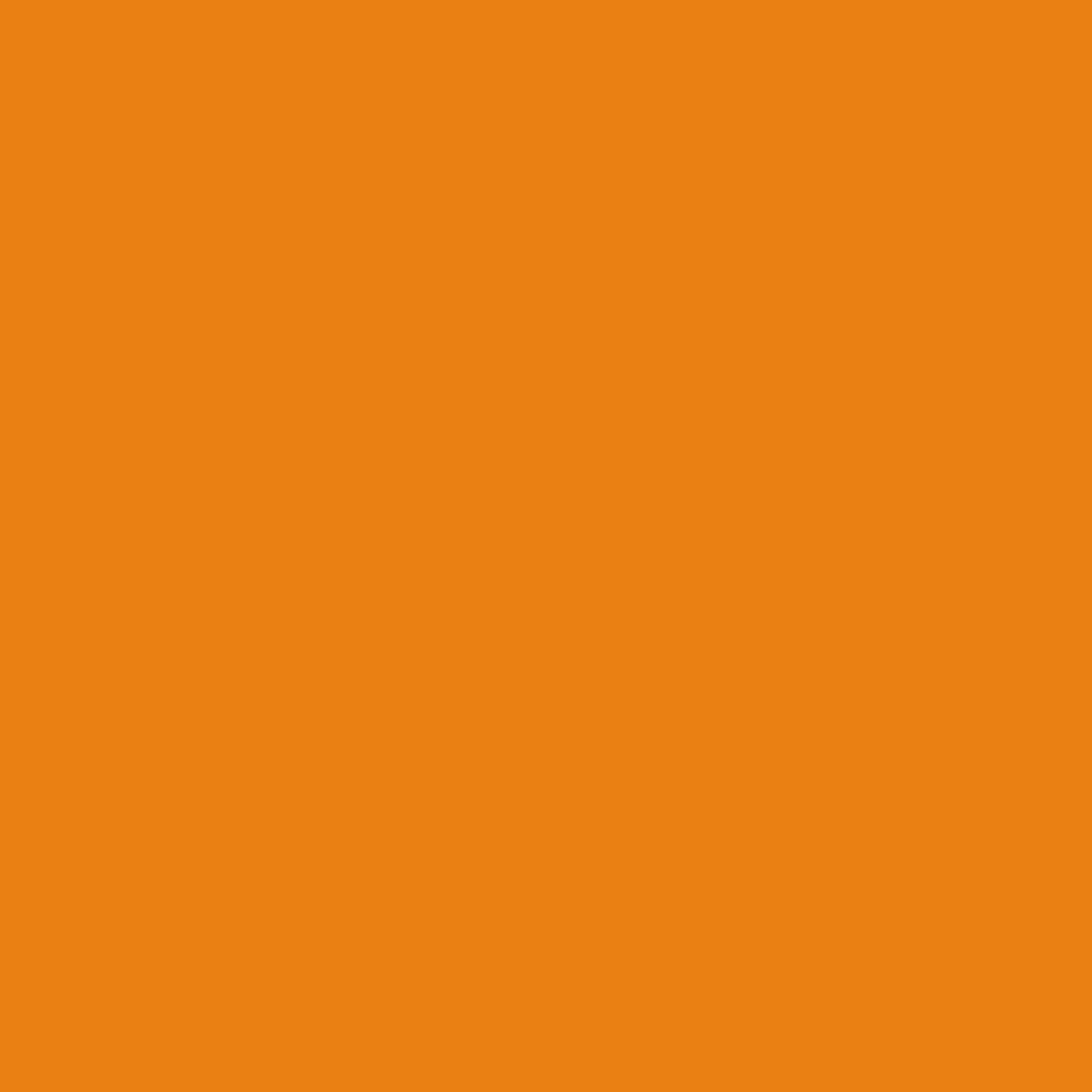 (6 pack) 24CT Orange Disposable Plastic Forks by Way To Celebrate