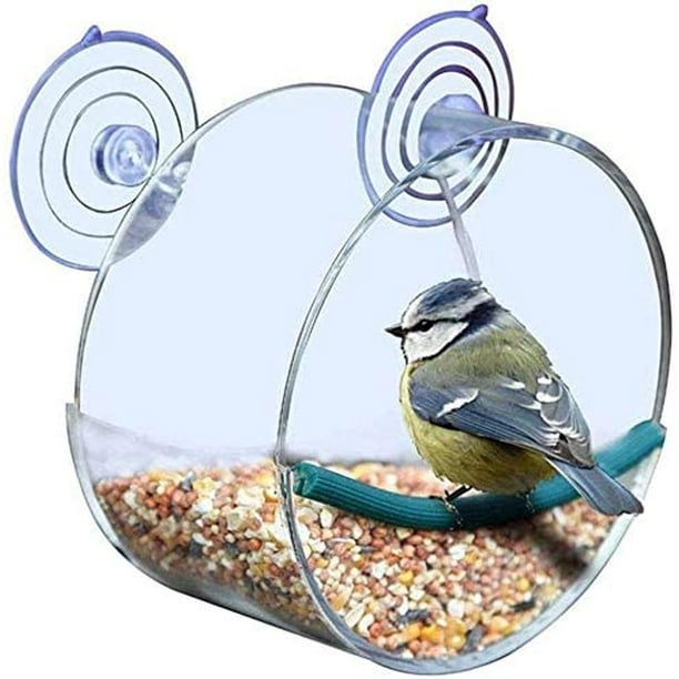 Mangeoire à oiseaux Transparent à fixer sur fenêtre : Observation des  oiseaux, Tout pour l'animal