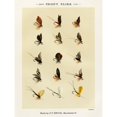 thumbnail image 2 of Marbury, Mary Orvis 12x14 Black Modern Framed Museum Art Print Titled - Trout Fishing Flies VII from Favorite Flies and Their Histories, 2 of 4