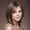 Brown with highlight- 10 inch, variant on Creamily 12" Blonde Bob Wig with Bangs Dark Root - Short Straight Synthetic Wigs for Women Heat Resistant