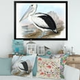 thumbnail image 3 of Designart 'Ancient Australian Birds VIII' Traditional Framed Art Print, 3 of 4