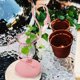 thumbnail image 2 of Floreros hidropónicos, floreros con forma de flamenco para mesa, florero de vidrio creativo, flamenco de hierro en miniatura, adornos para botellas de plantas hidropónicas, decoración para el hogar y, 2 of 6