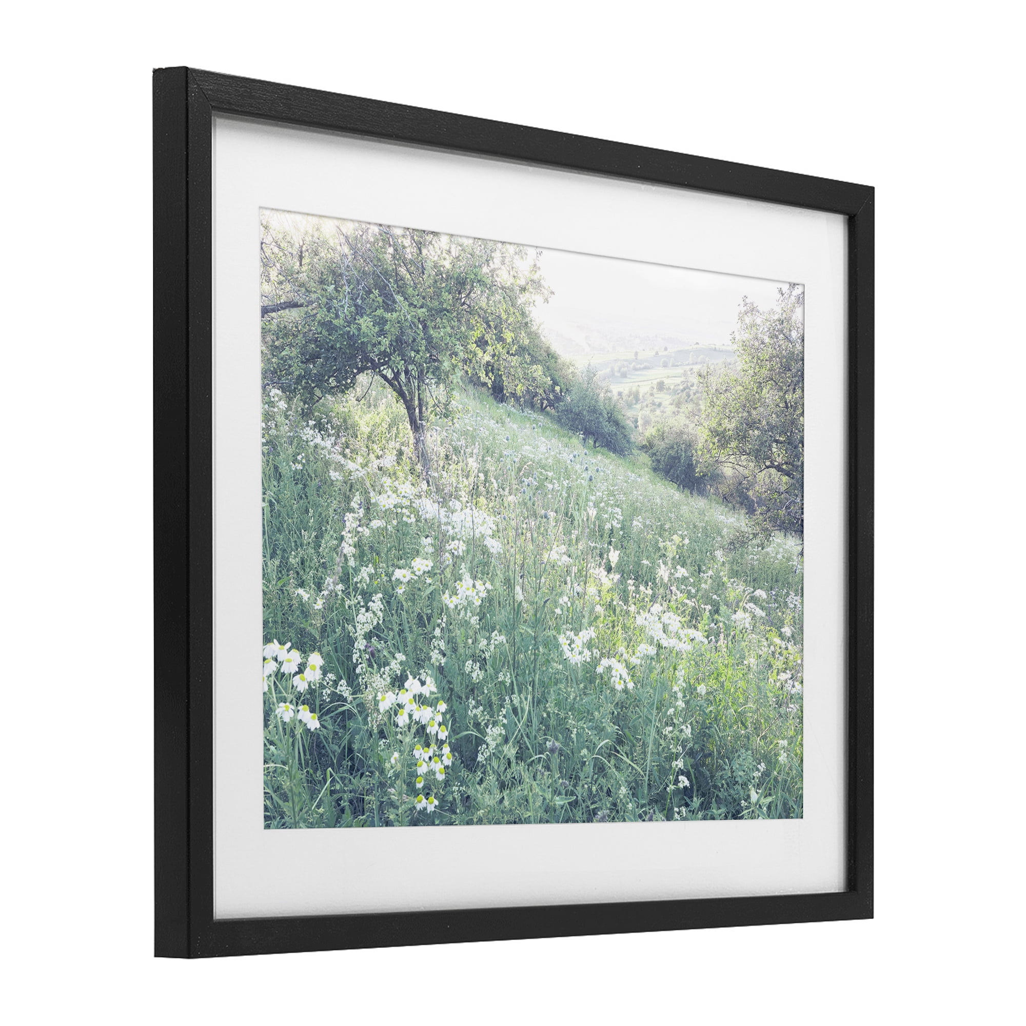 Stupell Industries Sunny Daisies in Meadow Black Framed Print Under Glass, design by Leah Straatsma
