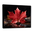 thumbnail image 2 of Designart "Pride in Canadian Beauty III" Canada Floater Framed Wall Art Print, 2 of 7