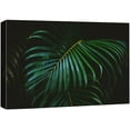 thumbnail image 3 of PixonSign Canvas Print Wall Art Jungle Palm Leaves on Black Background Floral Wilderness Photography Realism Modern Colorful Multicolor Dark for Living Room, Bedroom, Office - 12"x18", 3 of 5