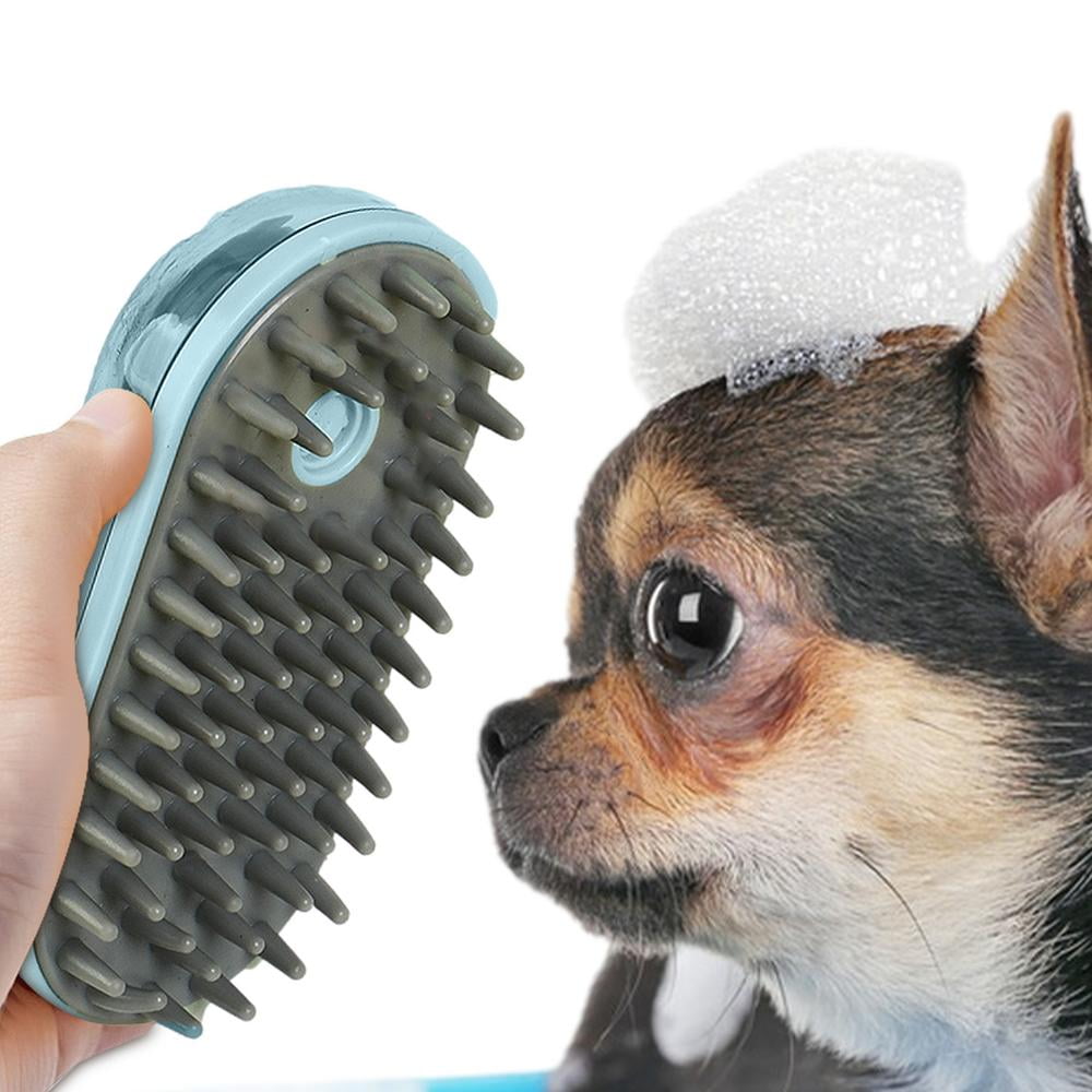 How Often Should You Bathe Short Haired Dogs