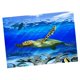 thumbnail image 4 of 3D Acuario Paisaje Póster  Vivarium Fondo Tortuga L Zulema Foto de fondo del tanque de peces, 4 of 8