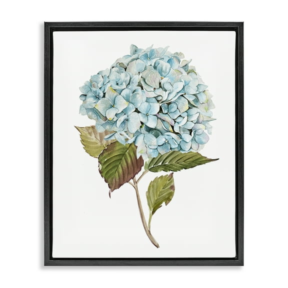 Stupell Industries Simple Hydrangea Bud Botanical & Floral Painting Black Floater Framed Art Print Wall Art, 17 x 21