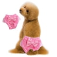 thumbnail image 1 of Pantalones fisiológicos para perros con lazo, pantalones fisiológicos para mascotas, pantalones menstruales de encaje princesa 2148, 1 of 5