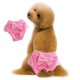 thumbnail image 1 of Arco perro fisiológico pantalones mascota fisiológica pantalones encaje princesa menstrual pants2151, 1 of 5