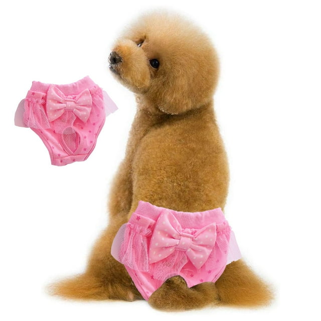 Pantalones fisiológicos para perros con lazo, pantalones fisiológicos para mascotas, pantalones menstruales de encaje princesa 2148