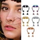 thumbnail image 3 of Piercing falso para mujer, aro para la nariz, tabique, Clip para la nariz sin perforación, HipHoop Rock, imán de acero inoxidable, joyería Punk para el cuerpo, 3 of 4