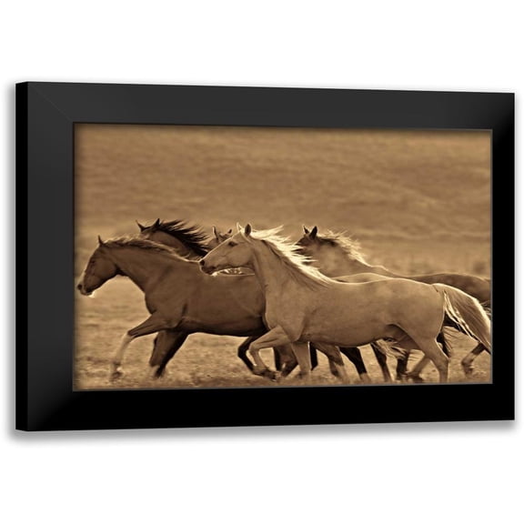 Caro, Wendy 14x11 Black Modern Framed Museum Art Print Titled - Like the Wind II