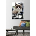 thumbnail image 2 of Grumpy Cat - Shut Up Wall Poster with Wooden Magnetic Frame, 22.375" x 34", 2 of 3