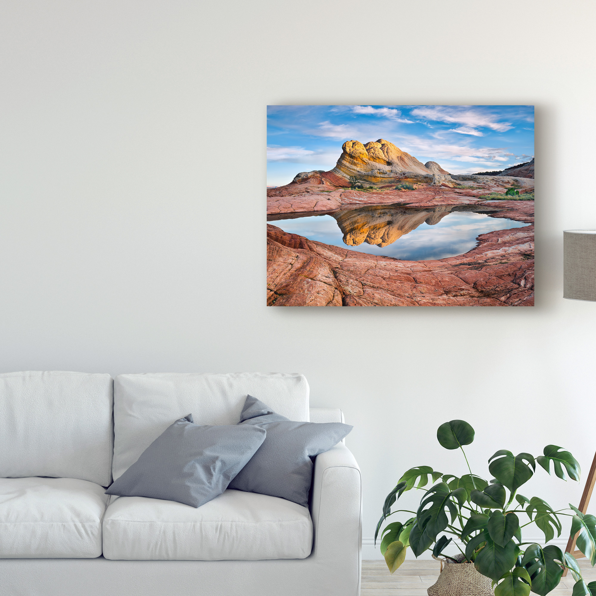 Trademark Fine Art 'Arizona Reflection II' Canvas Art by David Drost