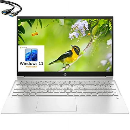 HP 2023 Pavilion 15 15.6" FHD Business Laptop, 12th Gen Intel 10 Cores i7-1255U, 64GB DDR4 RAM, 1TB PCIe SSD, WiFi 6, Bluetooth 5.2, Webcam, Natural Silver, Windows 11 Pro, iPuzzl Extension Cable