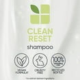 thumbnail image 3 of Biolage Normalizing Shampoo by Matrix for Unisex - 33.8 oz Shampoo, 3 of 7