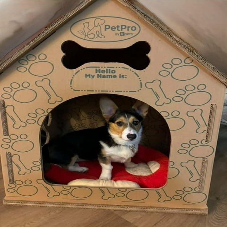 Cardboard Large Dog House – Indoor Modern Crate Alternative