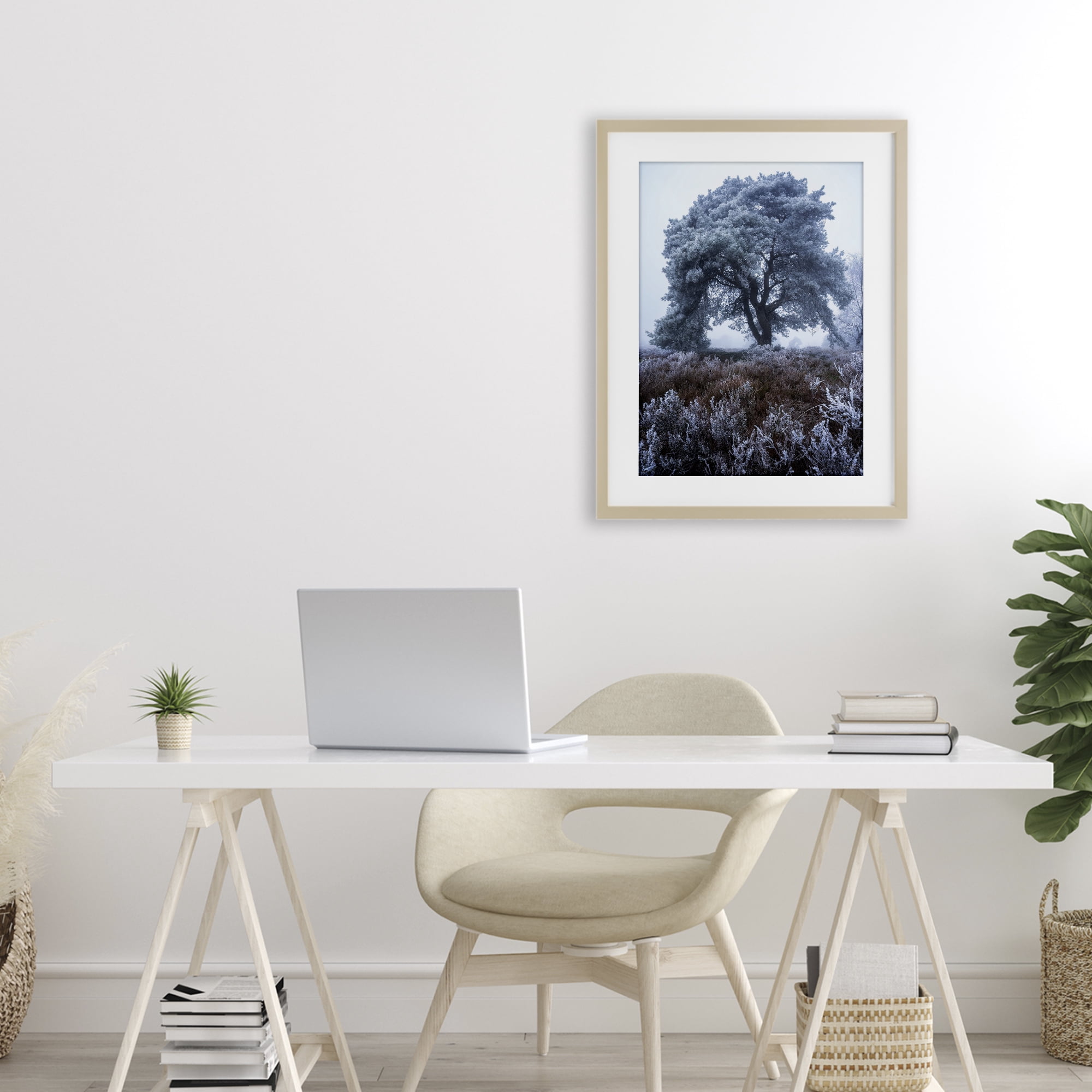Stupell Industries Frosted Tree in Winter Mist Birch Framed Print Under Glass, design by Martin Podt