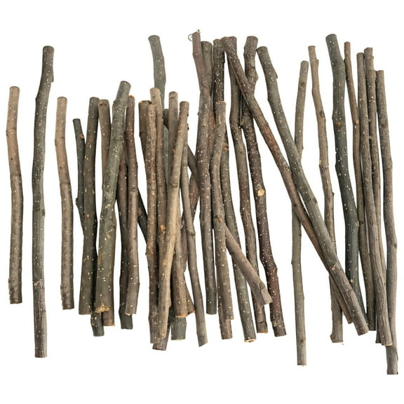 60 Pcs Natural Apple Wood Craft Sticks, Rustic Branches for Decor, Irregular DIY Art Supplies, Assorted Lengths 7.8 in/20 cm and 11.8 in/30 cm, Sturdy Wooden Sticks for Projects
