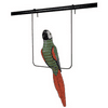 Fanimation P38 Palisade Accessory Parrot and Perch