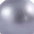 thumbnail image 5 of Mini Exercise Barre Ball for Yoga,Pilates, Stability Exercise Home Workout, Core Training and Physical Therapy, 5 of 5