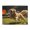 1000 Pieces, variant on 500-Piece Wooden Jigsaw Puzzle for Adults & Families - Happy Dog Fetching Disc , Fun & Educational Brain-Teasing Game, Artistic Home Decor