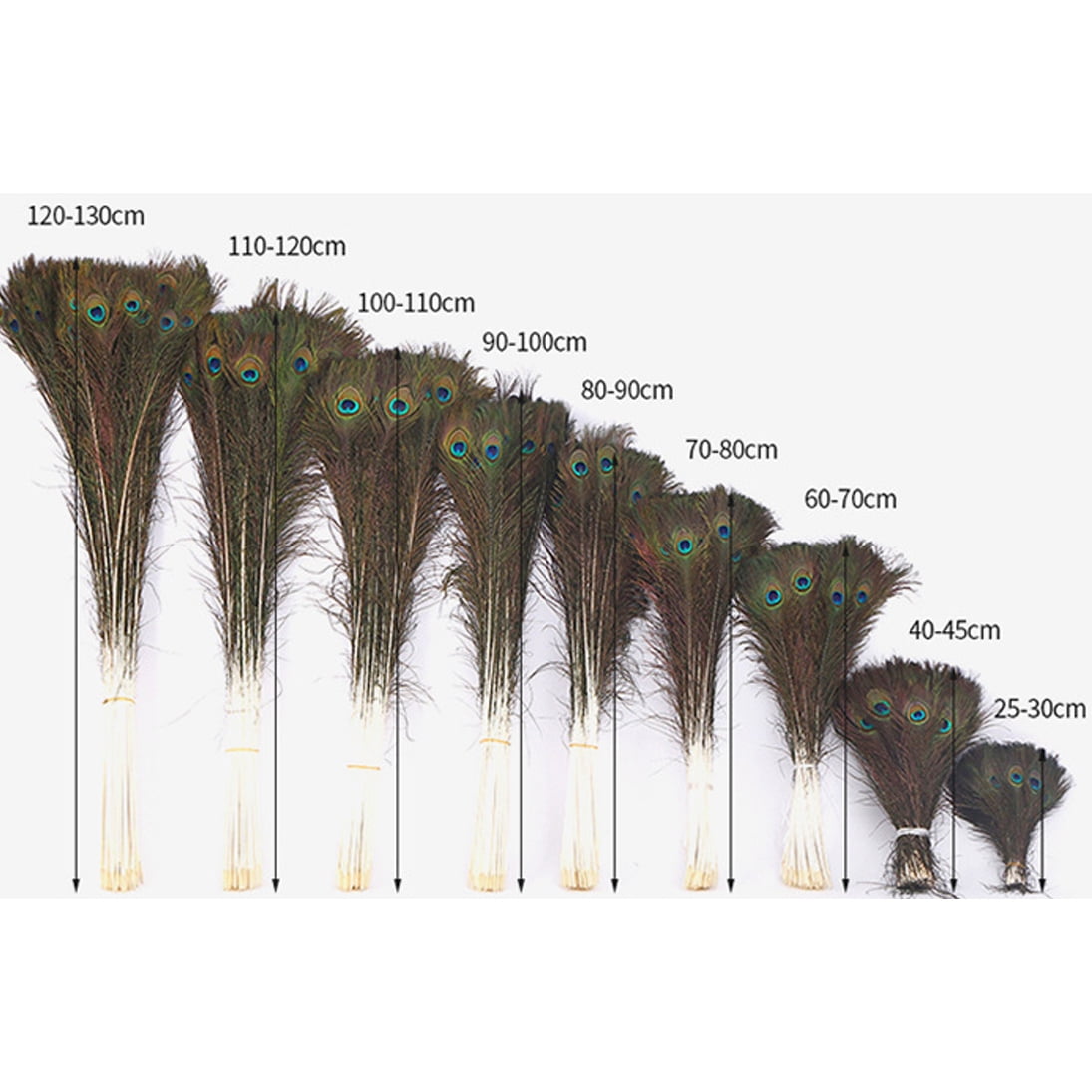 Natural Long Peacock Feathers - 30pcs 9-11 inches for Floral Arrangements, Wedding, Home and Party Decorations