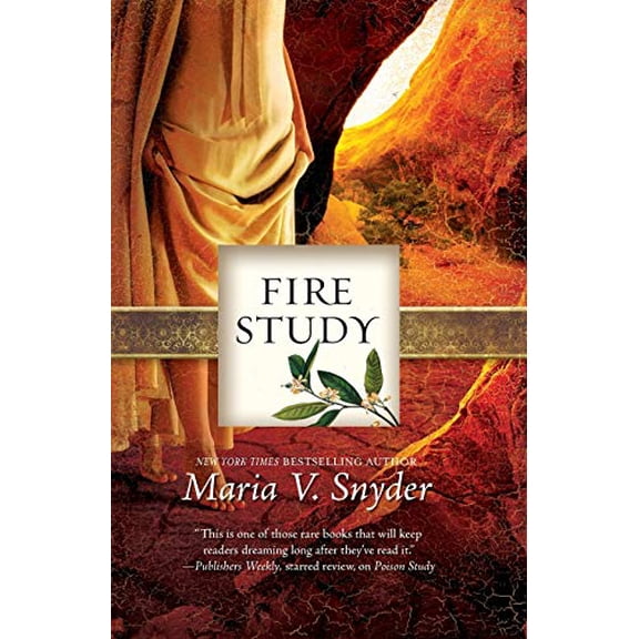 Pre-Owned Fire Study (Paperback) 0778325342 9780778325345