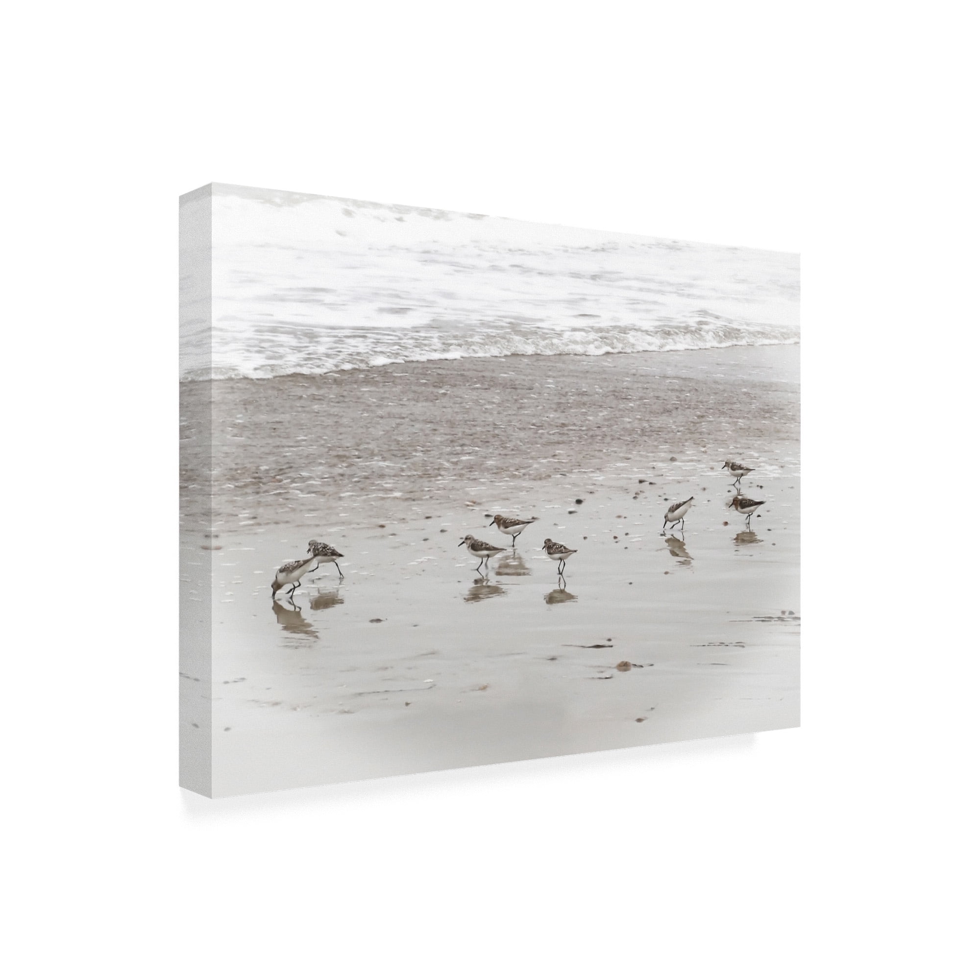 Trademark Fine Art 'Sandpipers' Canvas Art by Brooke T. Ryan
