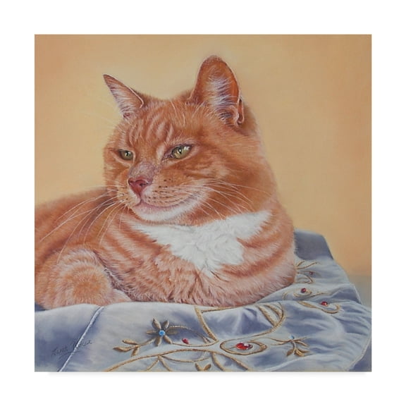 Trademark Fine Art 'Jack Silk Blanket' Canvas Art by Janet Pidoux