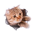 thumbnail image 2 of Toilet Wall Sticker, Bathroom Wall Sticker, PVC Material Durable Waterproof For Bathroom Wall, 2 of 2