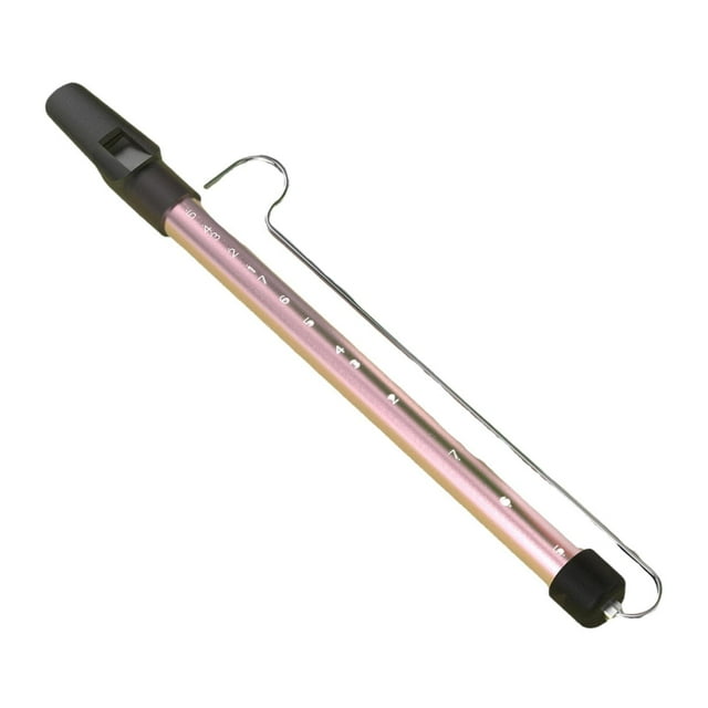 BELOVING Sifflet Coulissant Instrument de Musique Jouet Ajustable pour Enfants Performers Rose