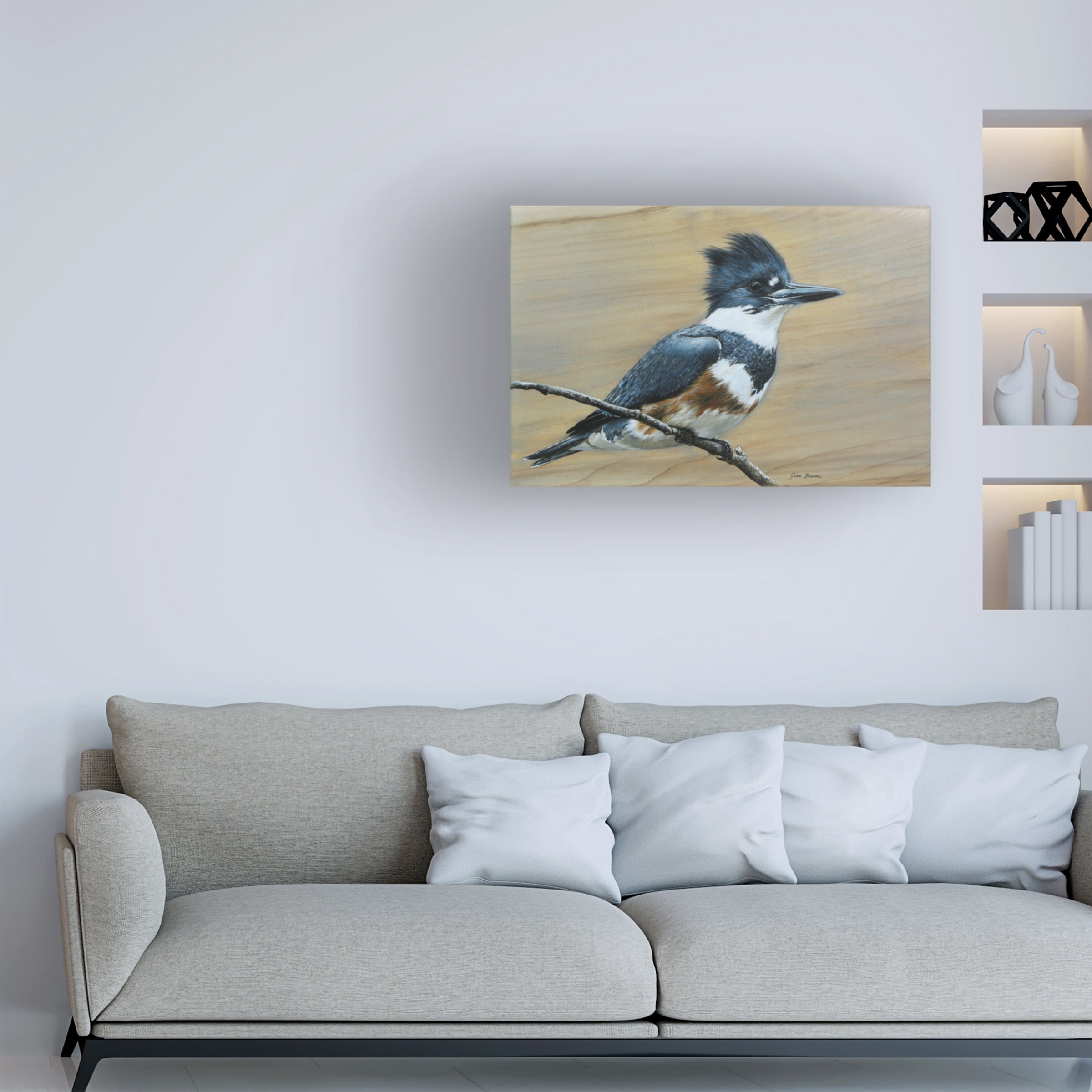 Canvas Wall Art - Jim Brune 'Belted Kingfisher' Wall Art for Living Room, Bedroom, or Office DÃ©cor by Trademark Fine Art - 47 x 30 Inches
