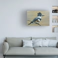 thumbnail image 2 of Canvas Wall Art - Jim Brune 'Belted Kingfisher' Wall Art for Living Room, Bedroom, or Office DÃ©cor by Trademark Fine Art - 47 x 30 Inches, 2 of 4